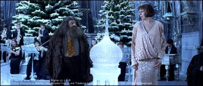 Un joli couple franco-britannique un peu timide s'en va valser. Quel animal se cache ici ?