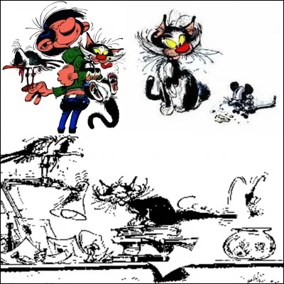 On sait que Gaston a plusieurs animaux « domestiques » comme sa mouette rieuse, son chat (qui porte le « doux » nom de « chat dingue »). D'autres animaux domestiques apparaissent plus épisodiquement.
Sauriez-vous retrouver l'INTRUS, celui qui n'existe pas ?