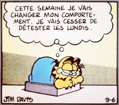"Chaque (...), il ne cesse de se plaindre en disant 'Je déteste les (...).'."