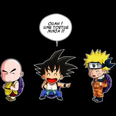 Pauvre Naruto ! Qui le traite de tortue ninja ?