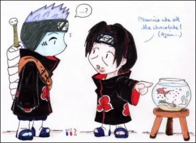 Mais qui a réellement mangé tout le chocolat ?