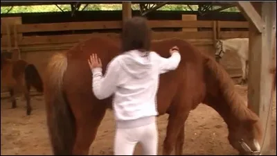 A quoi sert le pansage exactement ?