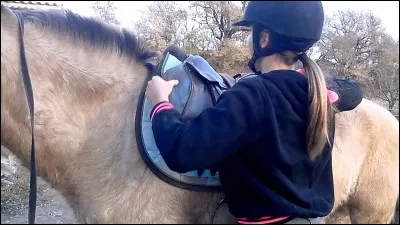 Que faut-il faire avant de se mettre en selle ?