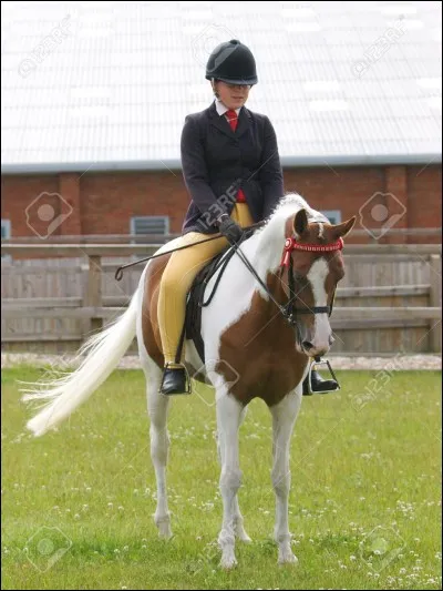 Quelles règles faut-il suivre lorsque tu participes à un cours ?