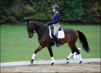 Quelle est cette discipline ?