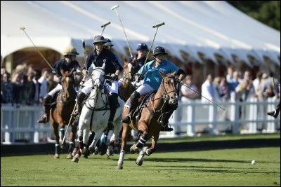 Quelle est cette discipline ?