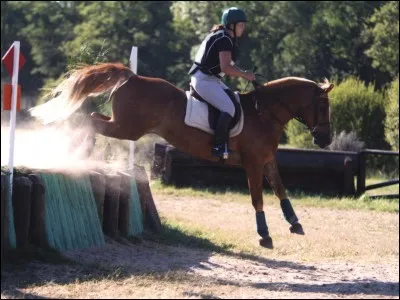 Quelle est cette discipline ?