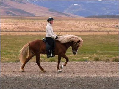 Pour partir au pas il faut ...