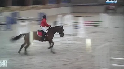 Pour faire tourner un cheval au pas il faut ...