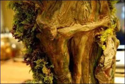 Magnifique jeune homme né d'un arbre à myrrhe. Qui est-il ?