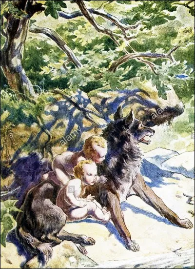 Romulus et Remus ont tété le lait de la louve à l'ombre d'un :
