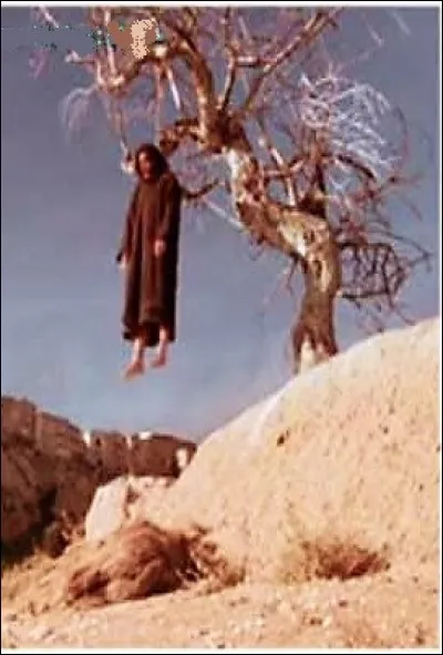 L'apôtre Judas se serait pendu après avoir trahi Jésus-Christ à quel arbre ?