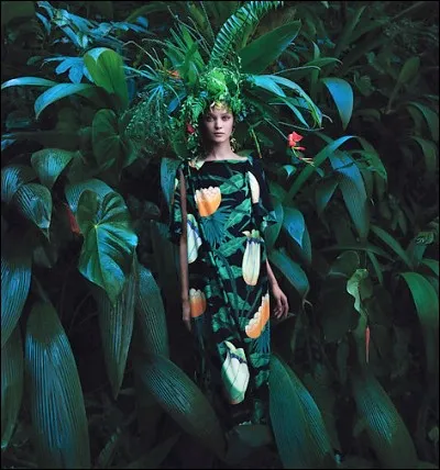 Apollon s'éprend de la nymphe Daphné, qui lui échappe en se transformant en :