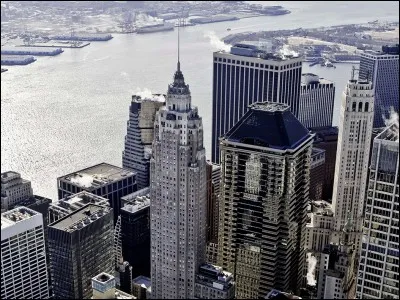 Il est aussi appelé l'American International Building. Son antenne fait 31 mètres. Le haut du bâtiment rappelle le style gothique. Dans Manhattan sud, il était l'immeuble le plus élevé jusqu'à la construction du World Trade Center, en 1973.