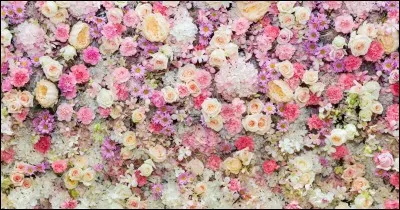 Choisissez la fleur que vous appréciez le plus.