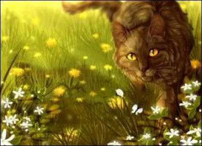 Quel livre aimez-vous le plus ?