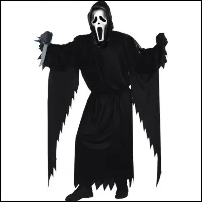 Le masque très connu vient du film :