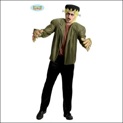 Vert avec un boulon qui lui traverse la tête, c'est bien sûr :