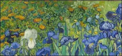 Quel peintre hollandais peint ''Les Tournesols'', ''Les Iris" et "La Nuit &eacute;toil&eacute;e" ?