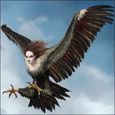 Monstre fabuleux à tête de femme.