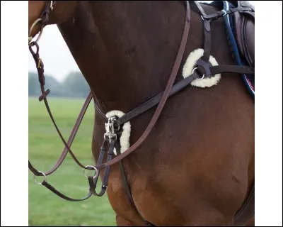 À quoi sert le collier de chasse ?