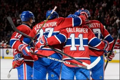 Dans quelle patinoire intérieure joue la célèbre équipe ?