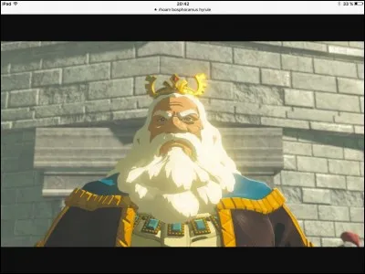 Comment se nomme le roi d'Hyrule ?