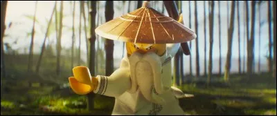 Qui est ce vieux pépé ?