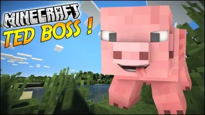 A-t-il eu le trophée de youtube ?