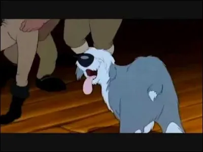 Qui est cet animal ?