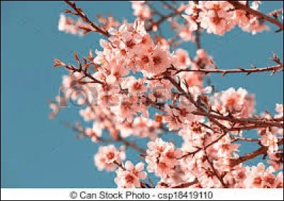 Comment écrit-on le verbe ''fleurir" en italien ?