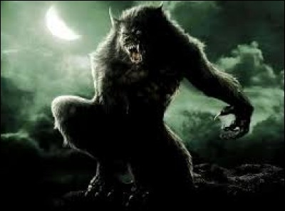 Le loup-garou est aussi appelé Lycanthrope.