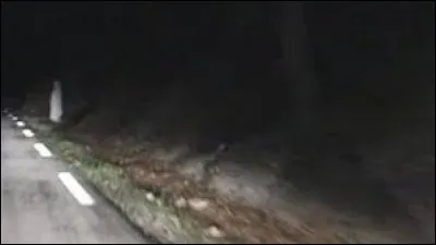 D'après la légende, voir une dame blanche au bord d'une route la nuit signifie qu'un accident de voiture va se produire.