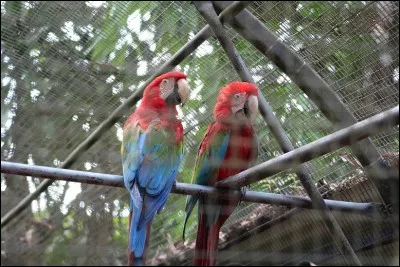 C'est Marcel Aymé qui a écrit "La Jument Verte" !