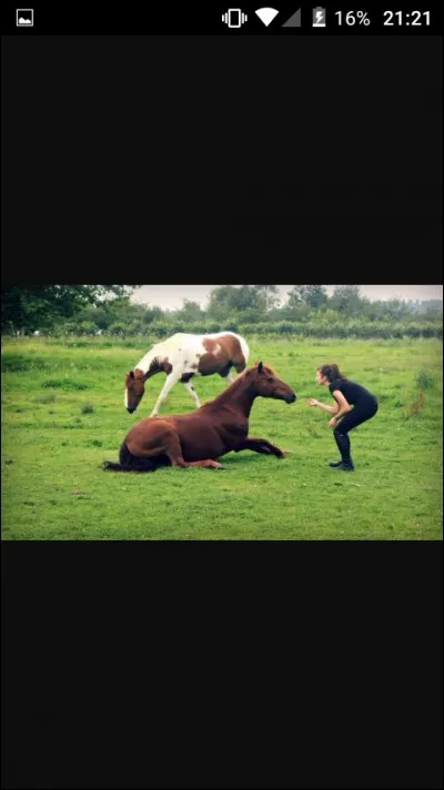 Sur la photo Wendy est avec ...