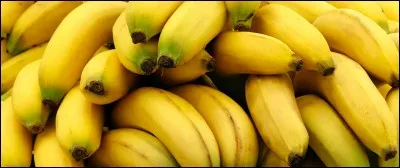 Complétez le proverbe : "Tout a une fin, sauf la banane...".
