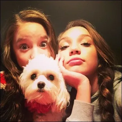 Comment s'appelle son petit chien ?