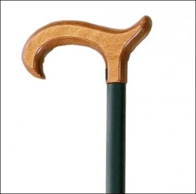 À quel personnage appartient cette canne ?