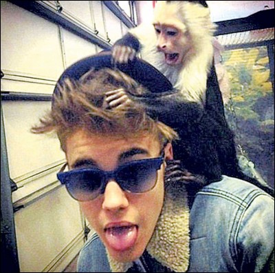 Pourquoi Justin Bieber s'est-il fait enlever son singe ?