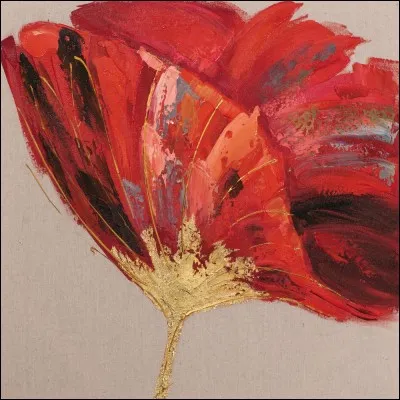 La mandibule est la m&acirc;choire sup&eacute;rieure.