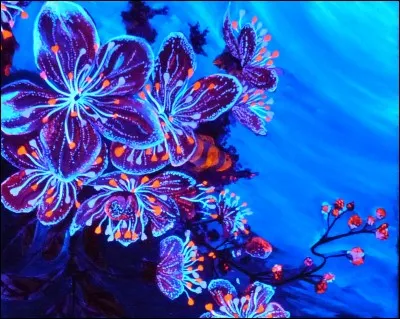 Manche ou poign&eacute;e, c'est &eacute;gal, mais il s'agit de la forme de cet os et les clavicules s'y attachent.