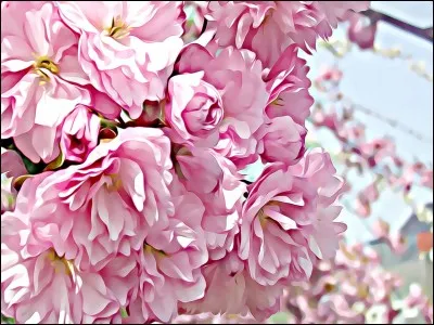 L'ulna se trouve dans le poignet.