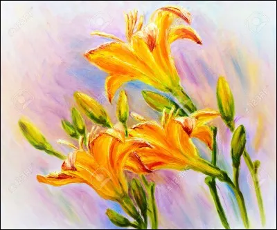 La patibule est l'os du genou ou rotule.