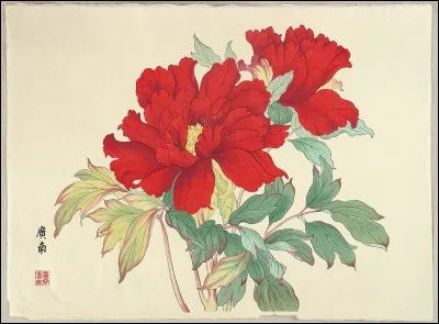 Os que l'&eacute;crivaine Albertine Sarrazin se brisa en sautant un mur et qu'elle donna en titre &agrave; l'un de ses romans.