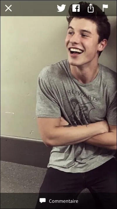 Quel est le prénom de la sur de Shawn ?