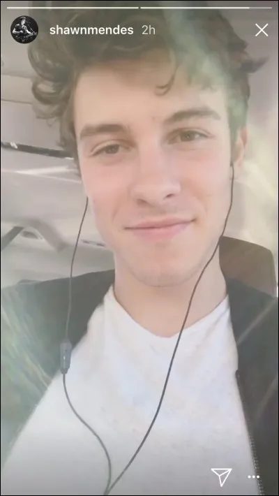 Combien a-t-il de tatouages ? (2017)