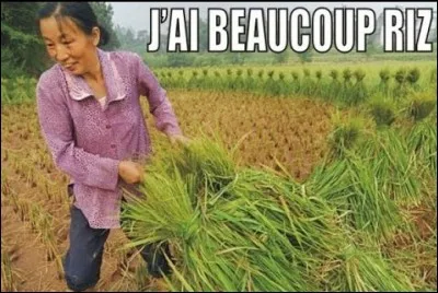 Que signifie l'expression « Rire jaune » ?