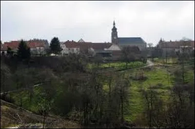 Nous sommes toujours dans le Grand-Est, mais &agrave; Liederschiedt. Village du pays de Bitche, pr&egrave;s de la fronti&egrave;re allemande et dans le parc naturel r&eacute;gional des Vosges du Nord, il se situe dans le d&eacute;partement ...