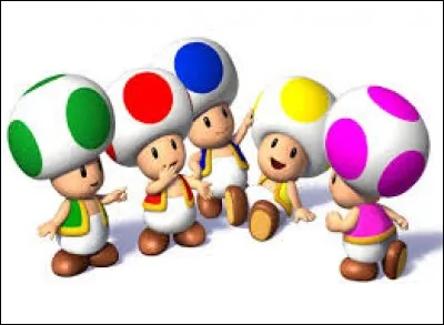 Comment s'appellent ces toads ?