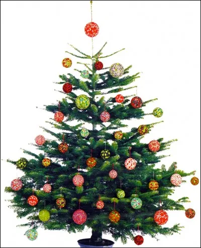 On décore un sapin à l'occasion de/d'...